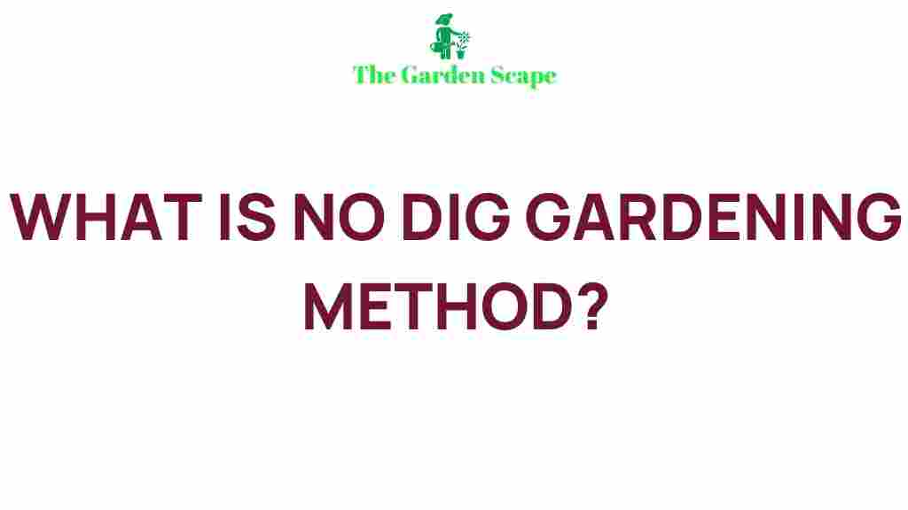 /no-dig-gardening-secrets