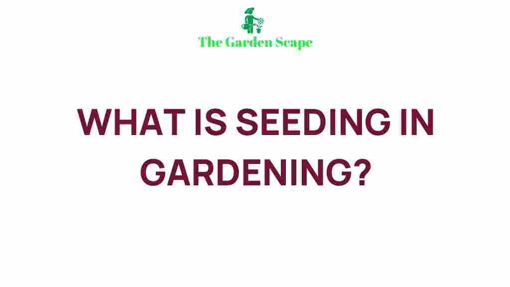 seeding-in-gardening-explained
