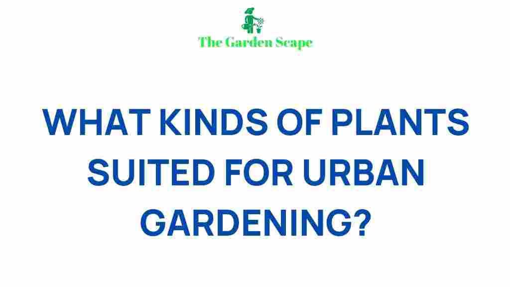 best-plants-for-urban-gardening