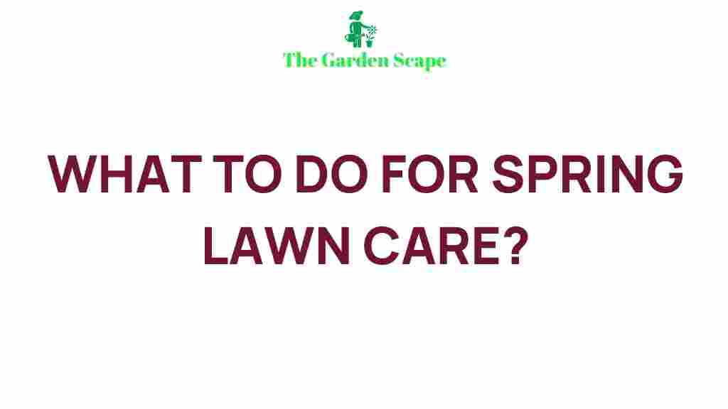 spring-lawn-care-tips