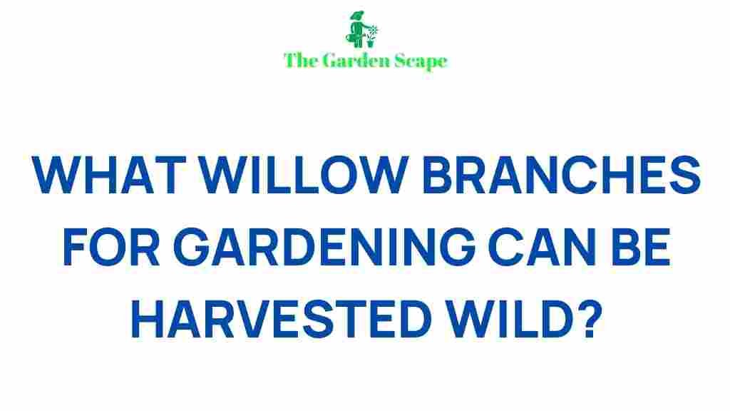 /wild-willow-branches-gardening