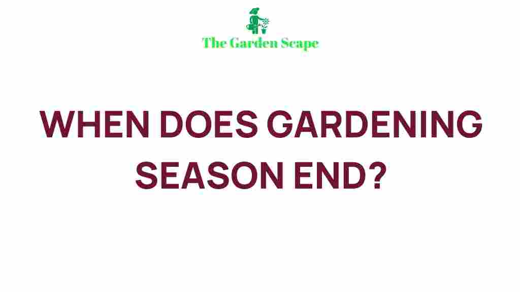 autumn-garden-transformation