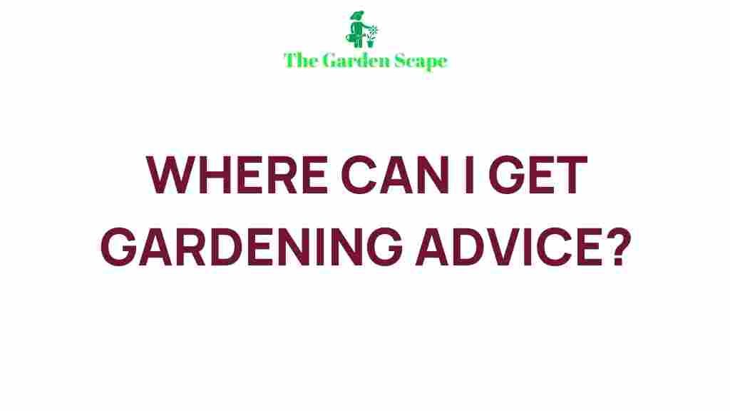 expert-gardening-advice