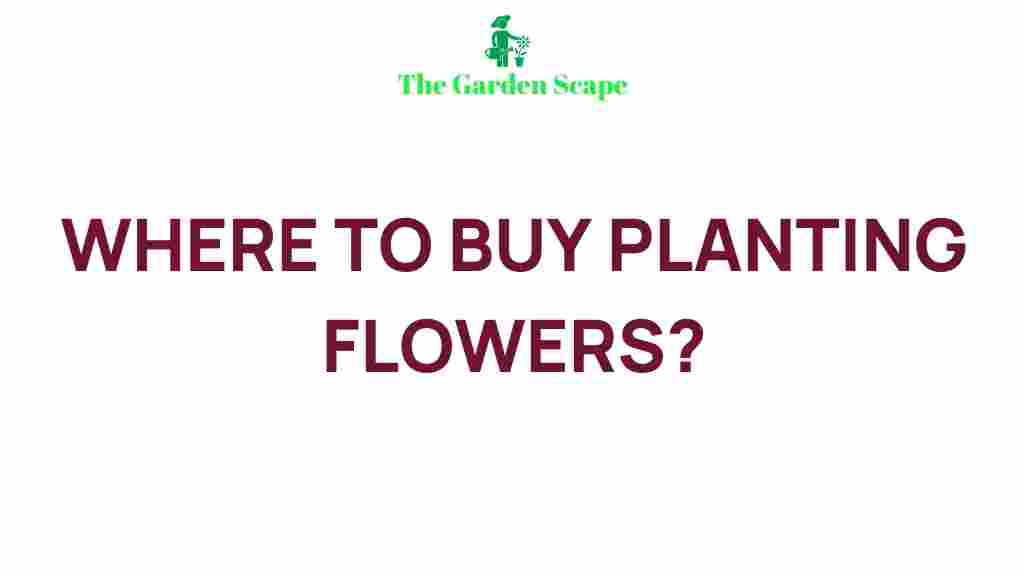 purchasing-exquisite-flowering-plants