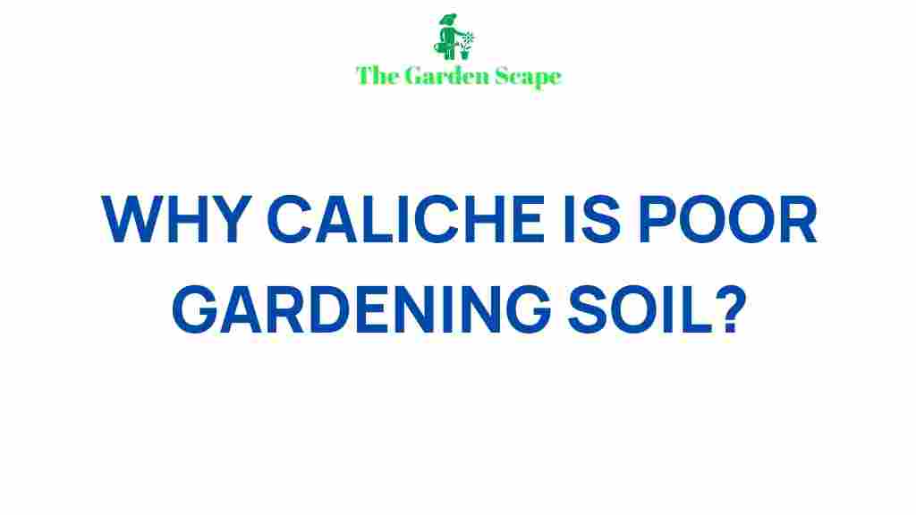 caliche-soil-gardening-challenges