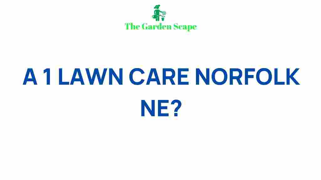 lawn-care-norfolk-ne