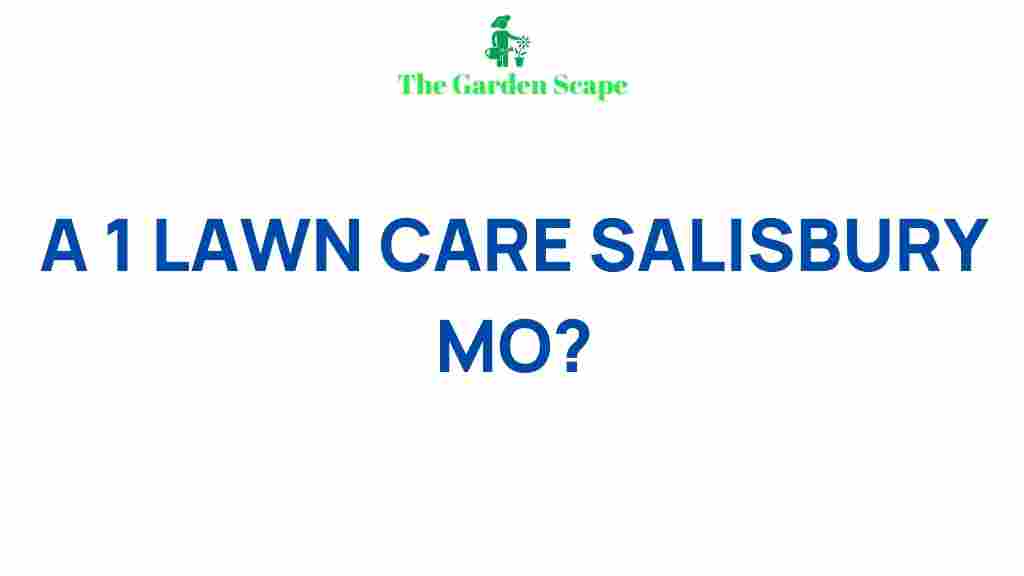 lawn-care-salisbury-mo