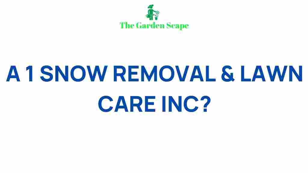 efficient-snow-removal-lawn-care