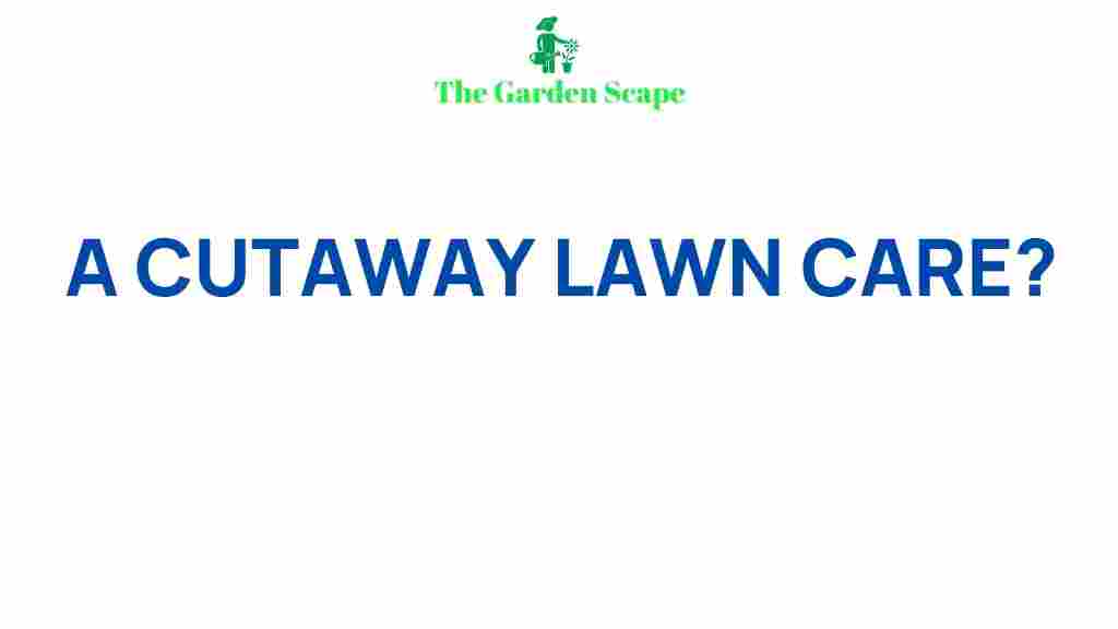 lawn-care-maintenance