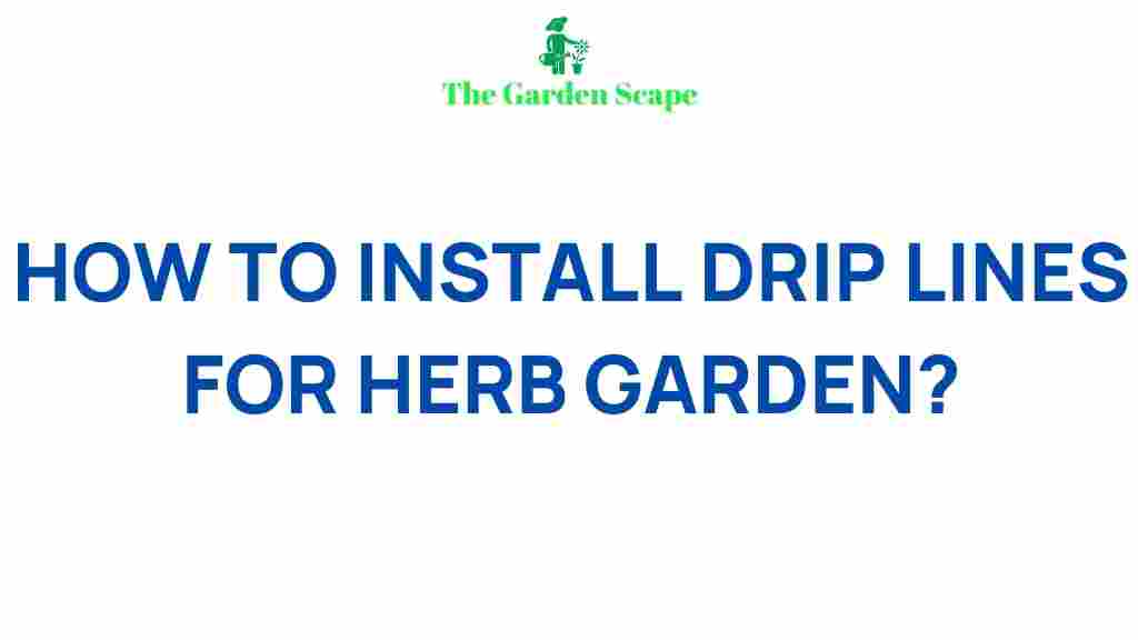 herb-garden-drip-irrigation