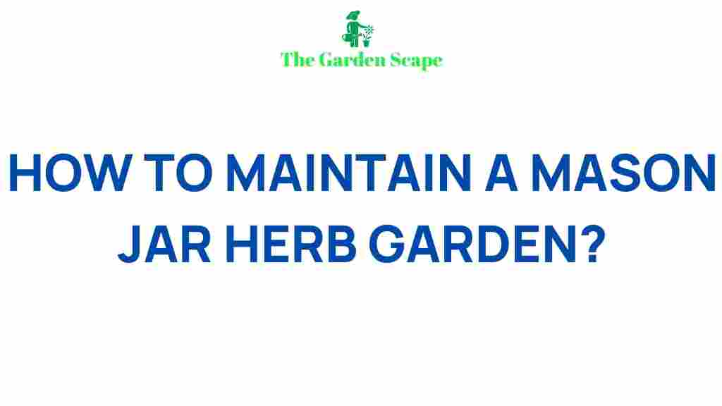 mason-jar-herb-garden-tips