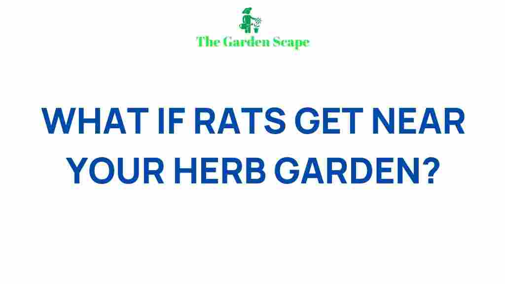 /rats-herb-garden-dangers