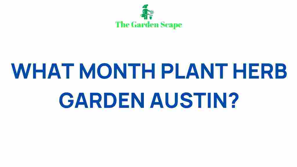 growing-herb-garden-austin