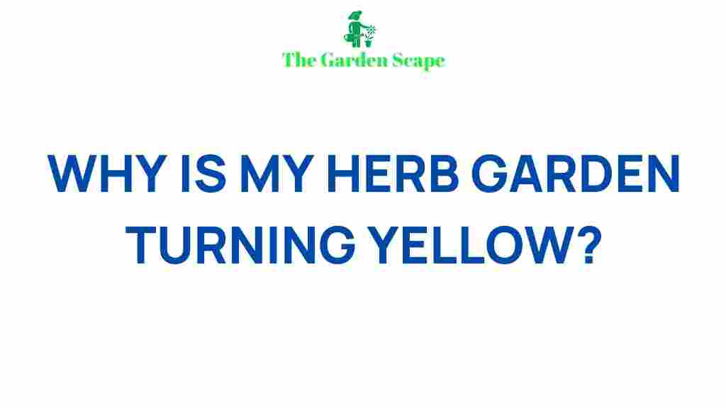 yellowing-herb-garden