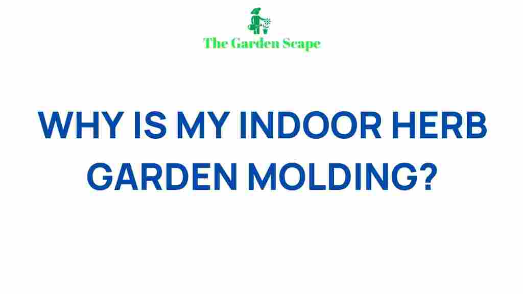 indoor-herb-garden-mold-hidden-dangers